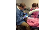 Holistic Dentistry